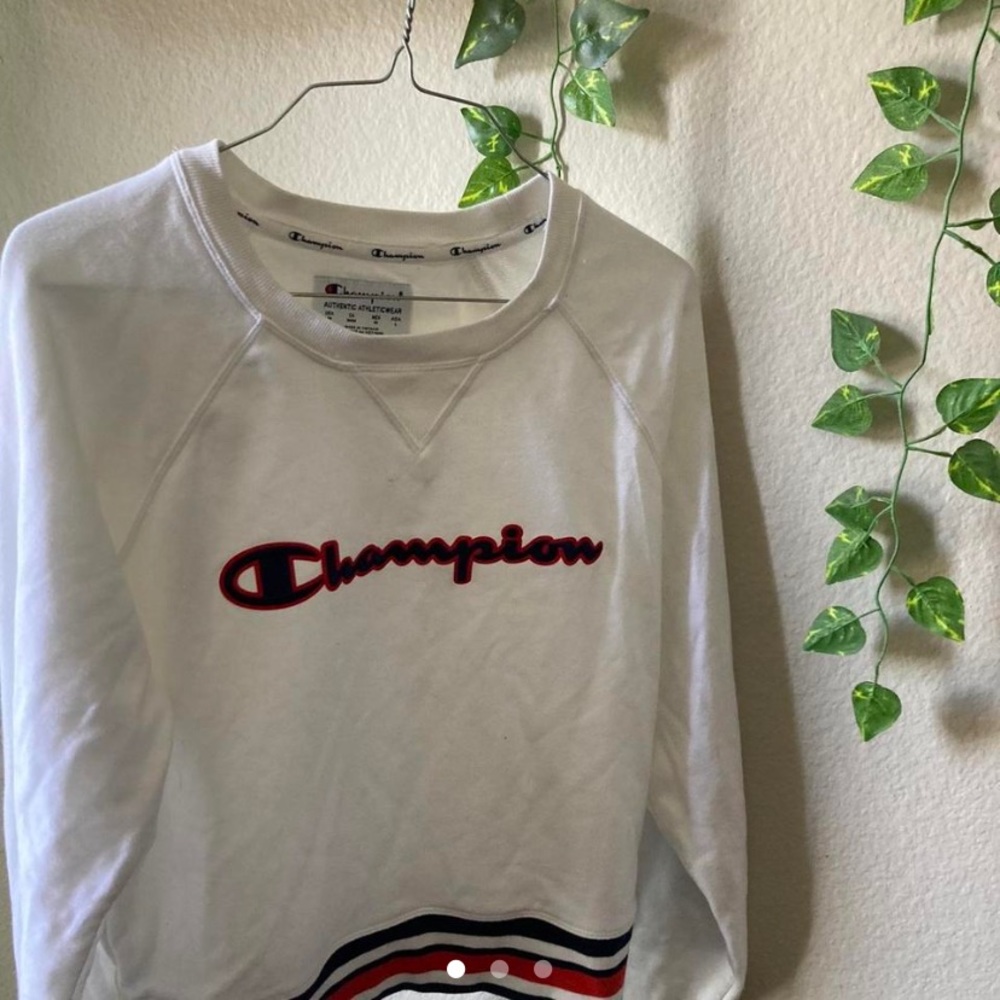 Champion Crew neck sweater.